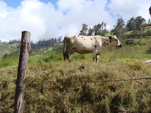 Colombia 241.jpg